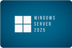 MICROSOFT WINDOWS